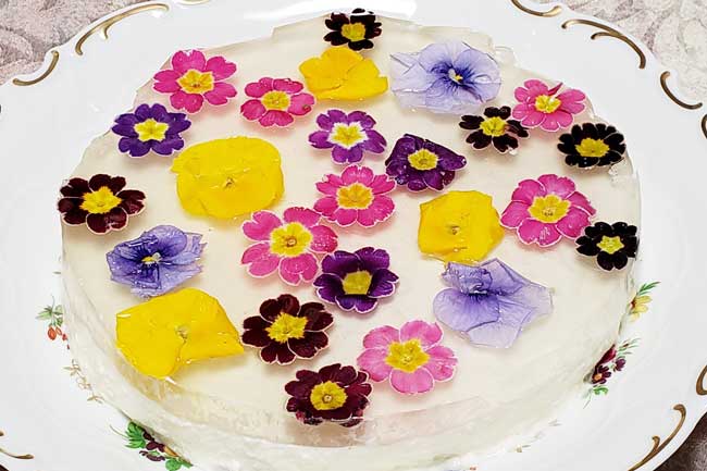 食卓にお花畑 エディブルフラワーのチーズケーキ 丸ごと小泉武夫 食マガジン